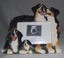 Bernese Picture FrameHOFR01Size:4x6 ($17.00)