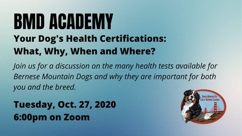 BMD Academy Health