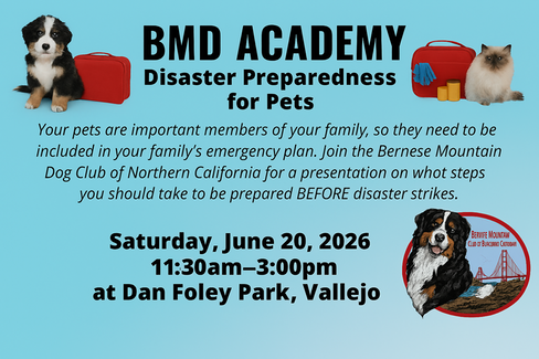 Disaster Prep for Pets BNDCNC banner 2