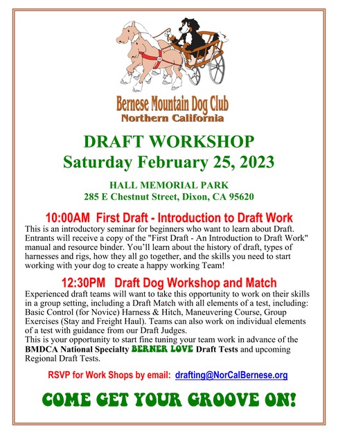 DRAFT-WORKSHOPSATURDAY-FEBRUARY-25-web