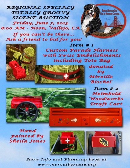 Regional Silent Auction