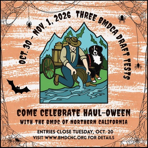 Haul-oween